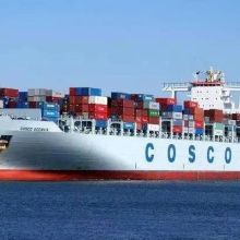 青島忠進貨運代理公司 專業引領，高效承載全球貿易